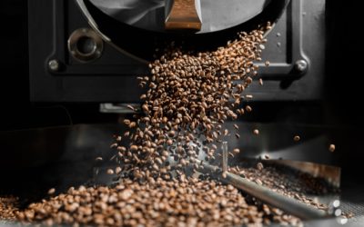 Jakie są główne metody obróbki kawy? Washed, natural, honey – opis procesu i wpływu na smak